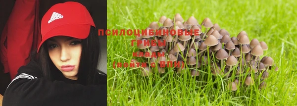 ALPHA PVP Бронницы