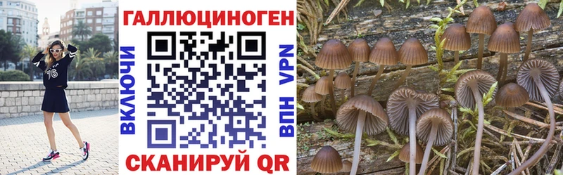 Галлюциногенные грибы мухоморы Великий Новгород